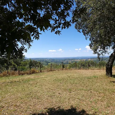 Scappo In Umbria, Casale Di Campagna * Vigne